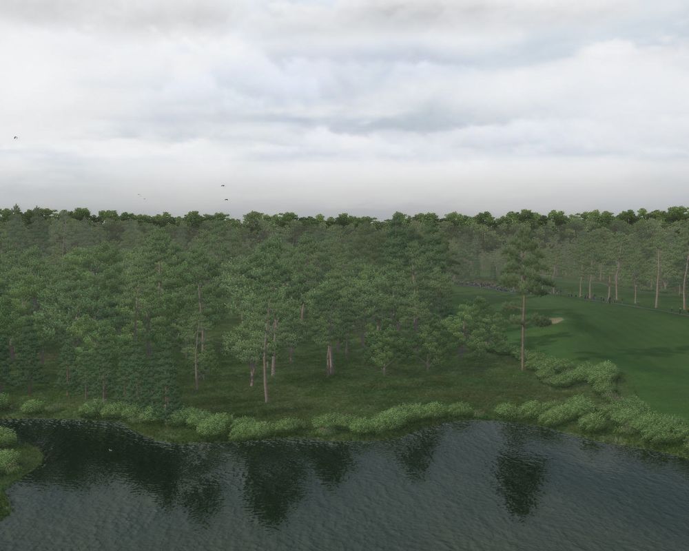Tiger Woods PGA Tour 08 (Windows) screenshot: View from above water hazard