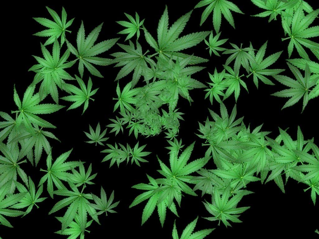 Jadernyj Titbit 2 (Windows) screenshot: Marijuana as relaxation (Russian)