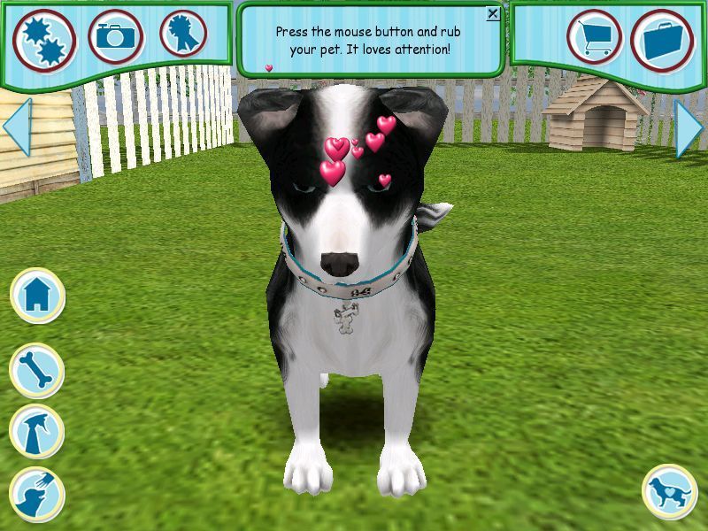 Dogz (Windows) screenshot: Clicking on Mobydog is the equivalent of calling him. It automatically triggers a close up view in which the mouse pointer can be used to stroke and fondle him.