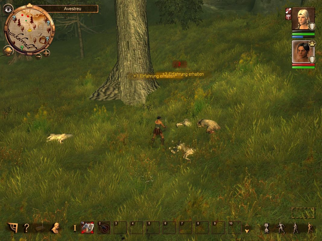 The Dark Eye: Drakensang (Windows) screenshot: Killing a bunch of wolves. Sadly Sicarius died during the encounter.