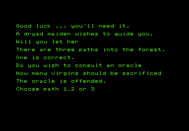 Swords and Sorcery (Commodore PET/CBM) screenshot: Good luck. You'll need it.