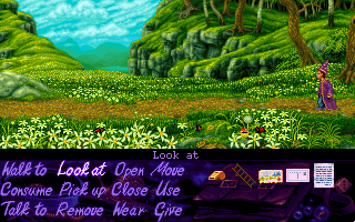 Simon the Sorcerer (DOS) screenshot: A beautiful opening in the forest