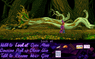 Simon the Sorcerer (DOS) screenshot: Dead Tree