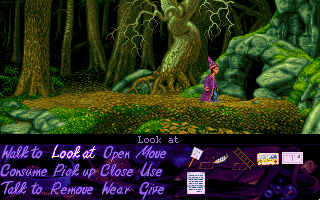 Simon the Sorcerer (DOS) screenshot: Cave entrance