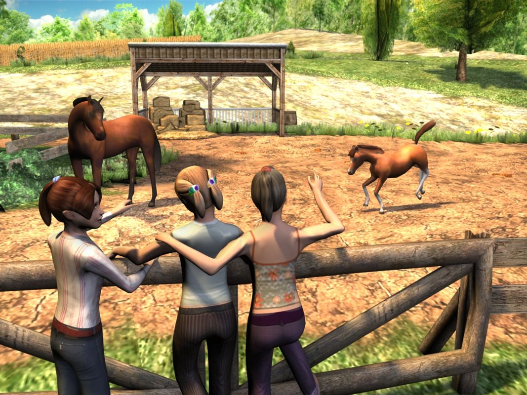 Die Reitakademie: Special Edition (Windows) screenshot: enjoy bringing up the foal