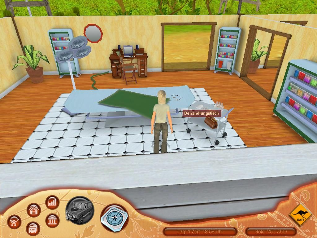 Paws & Claws: Pet Vet - Australian Adventures (Windows) screenshot: deal your injured with great care in your own veterinary station