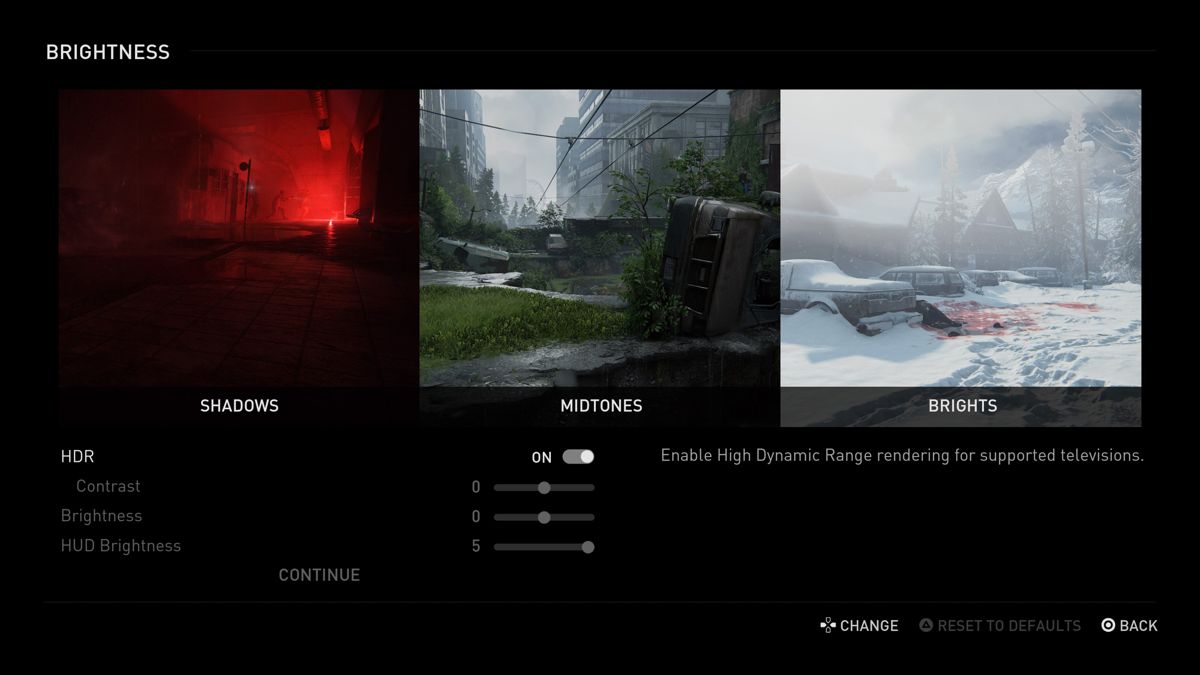 The Last of Us: Part II (PlayStation 4) screenshot: Initial options setup