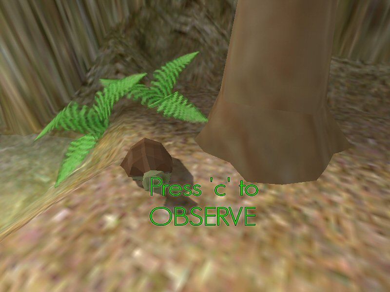 Reflect (Windows) screenshot: Once you're close enough to a creature, you can "observe" it