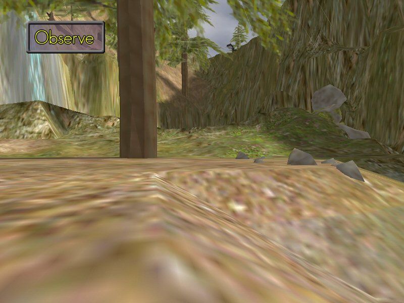 Reflect (Windows) screenshot: In observation mode, you see the world from the perspective of the creature, but can not influence its movements