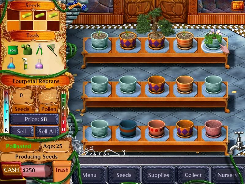 Plant Tycoon (Windows) screenshot: My plant is beginning to flower.