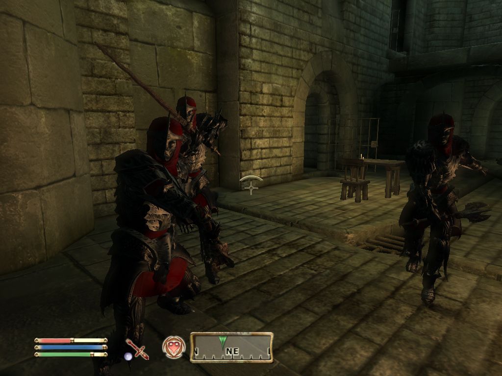 The Elder Scrolls IV: Oblivion (Windows) screenshot: Fighting against a few Mystic Dawn members