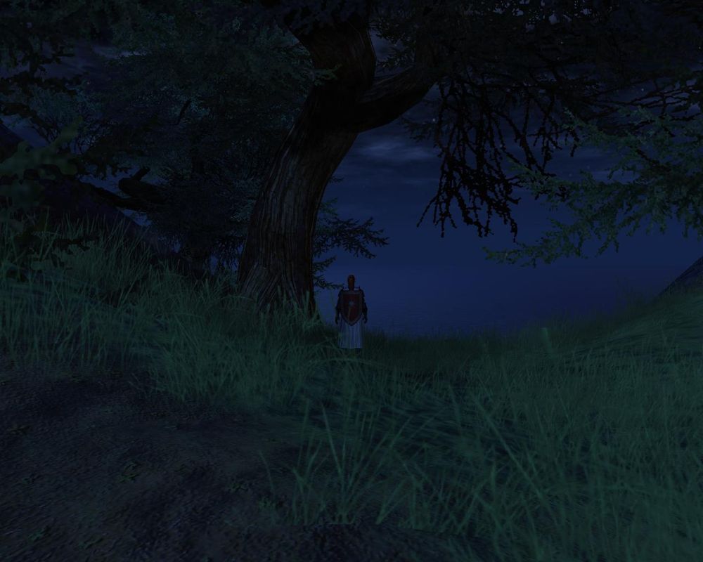 Vanguard: Saga of Heroes (Windows) screenshot: Alone in the night, missing her...