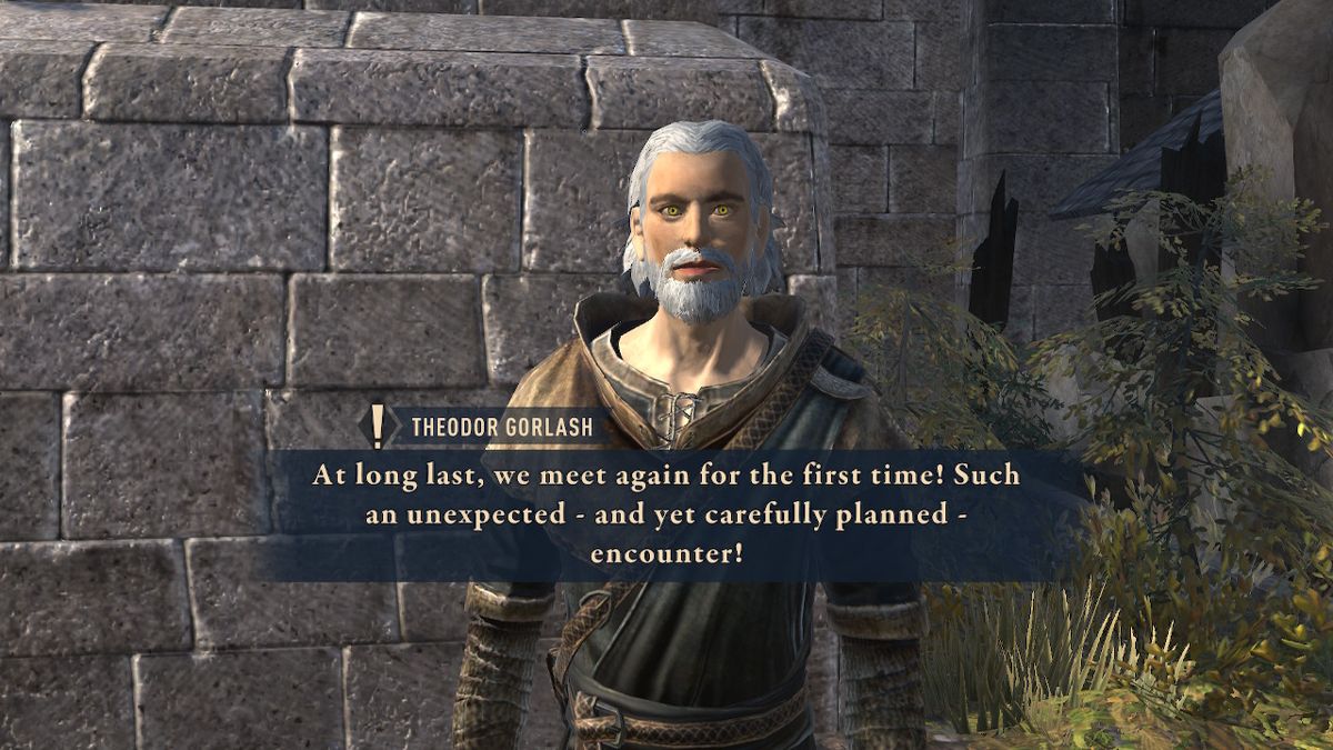 The Elder Scrolls: Blades (Nintendo Switch) screenshot: Somethings seems a bit off with this guy.