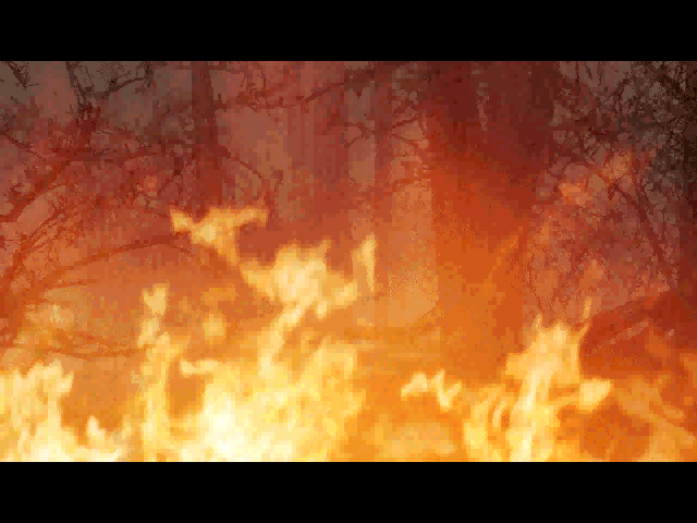 Biosys (Windows) screenshot: Intro sequence: the forest fire