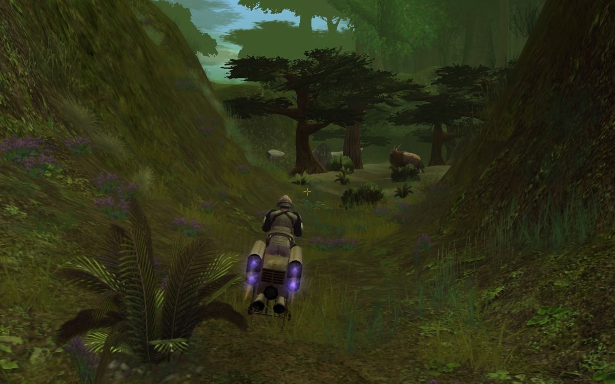Star Wars: Galaxies - Episode III: Rage of the Wookiees (Windows) screenshot: One of the many trails through the planet