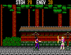 SpellCaster (SEGA Master System) screenshot: One of the first enemies