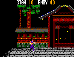 SpellCaster (SEGA Master System) screenshot: Reached the temple