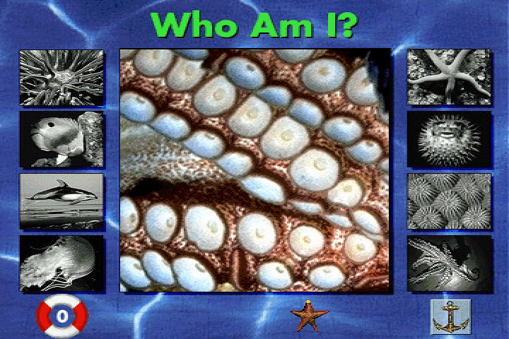 Screenshot Of Undersea Adventure (DOS, 1994) - MobyGames