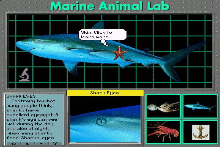 Undersea Adventure (DOS) screenshot: Shark dissection