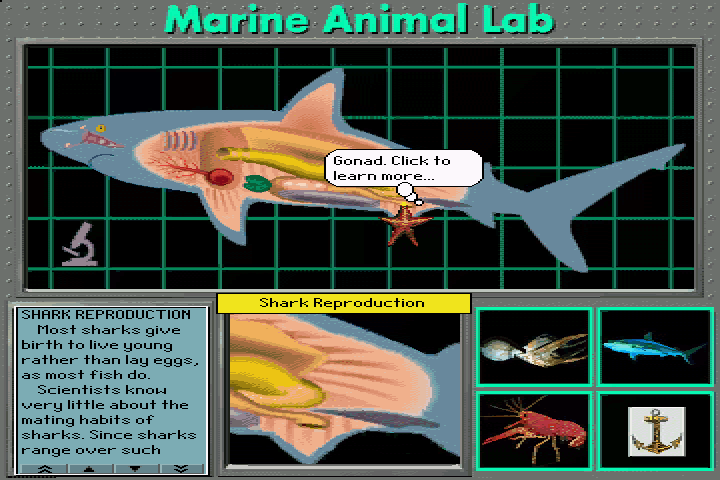 Undersea Adventure (DOS) screenshot: Shark internal organs