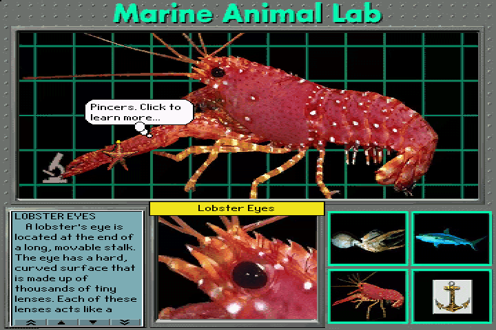 Undersea Adventure (DOS) screenshot: Lobster dissection