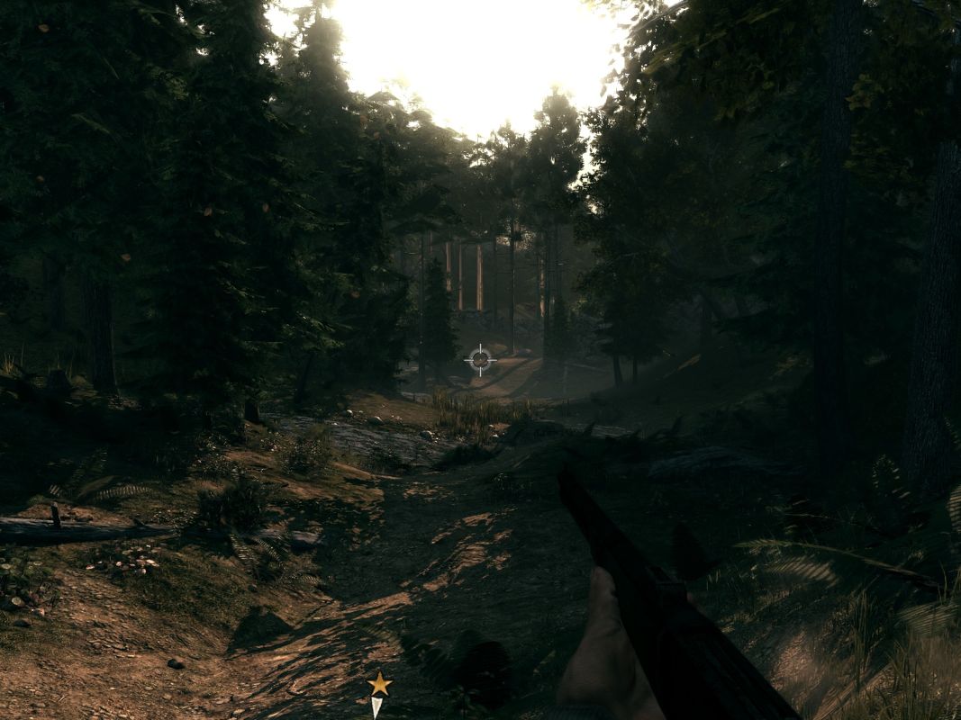 Call of Juarez: Bound in Blood (Windows) screenshot: Vast forests, fast running streams - and the sound of cannon fire in the background.