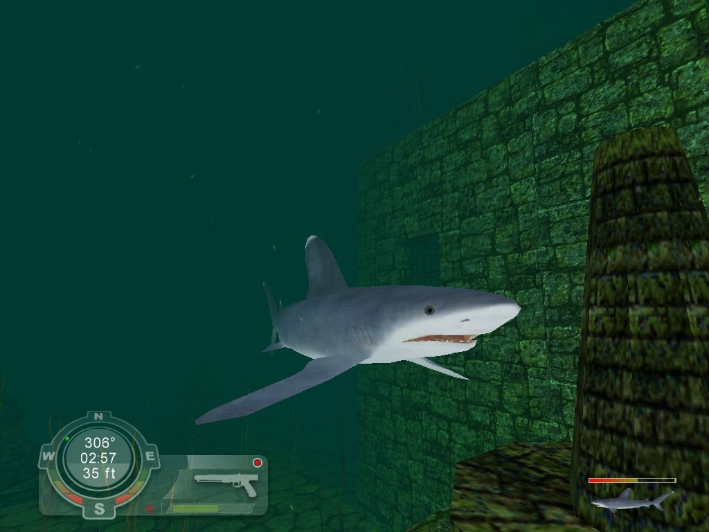 Shark! Hunting the Great White (2001) - MobyGames