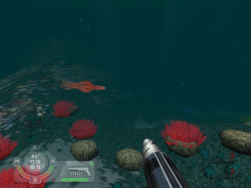 Shark! Hunting the Great White (Windows) screenshot: Squid! Not a giant one though, sadly.