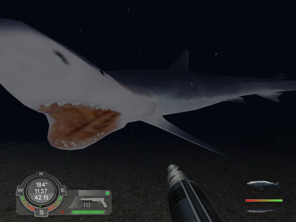 Shark! Hunting the Great White (2001) - MobyGames