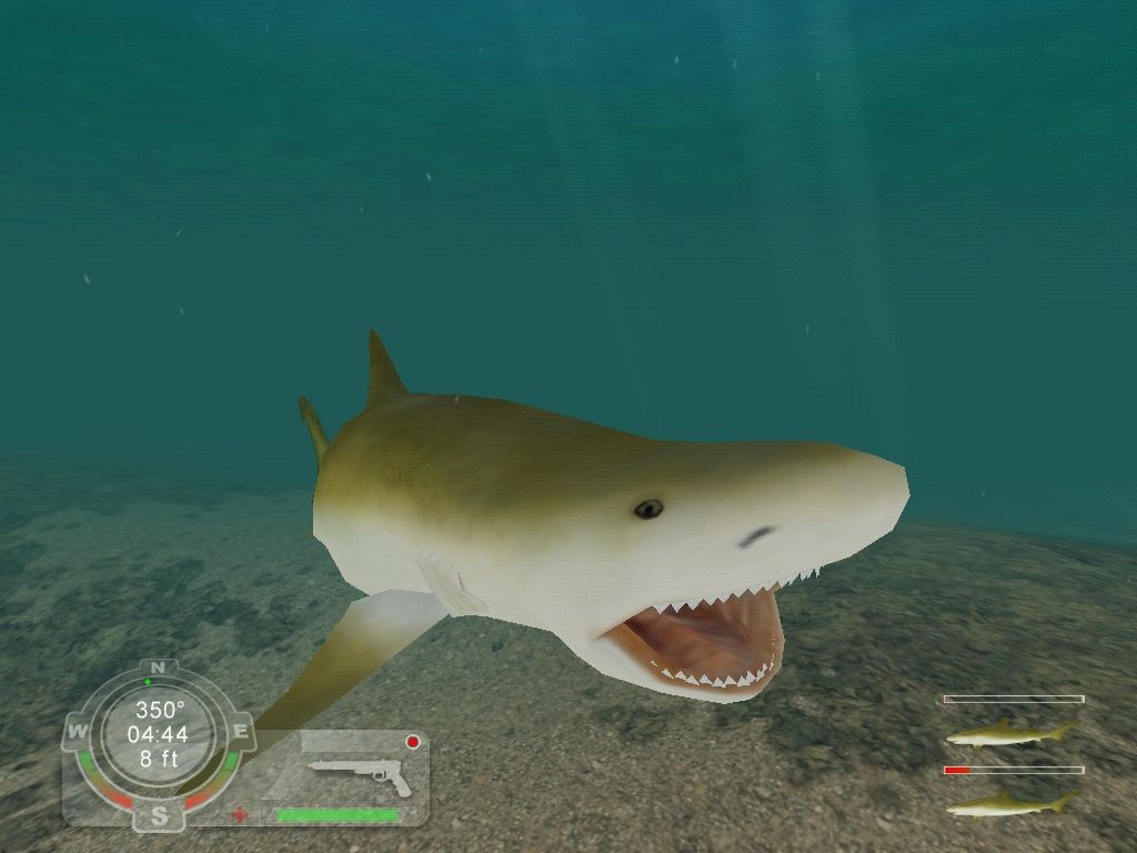 Shark! Hunting the Great White (2001) - MobyGames