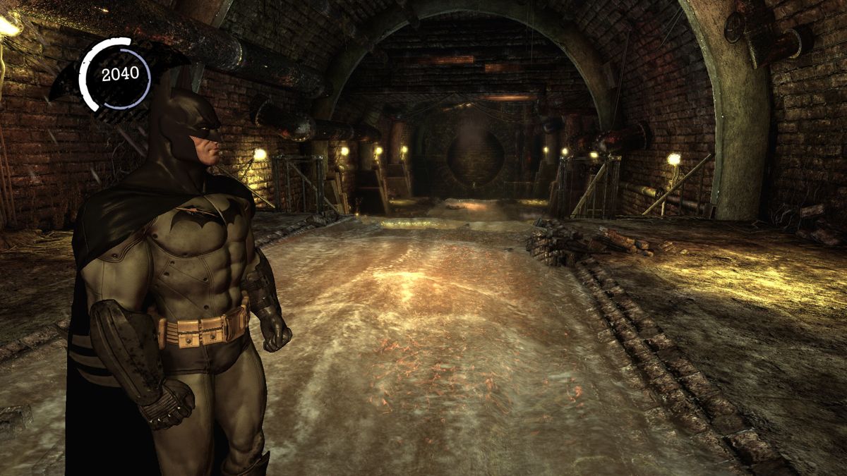 Batman: Arkham City GOTY (200260) · Issue #309 · ValveSoftware
