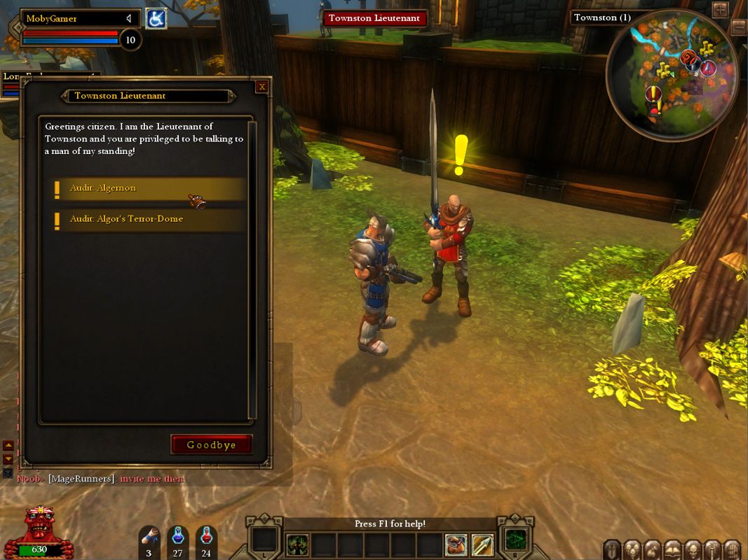 Dungeon Runners (Windows) screenshot: Talking to the Lieutenant of Townston.
