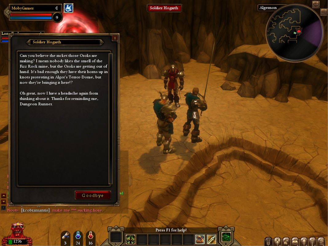 Dungeon Runners (Windows) screenshot: This NPC gives some information about the world.