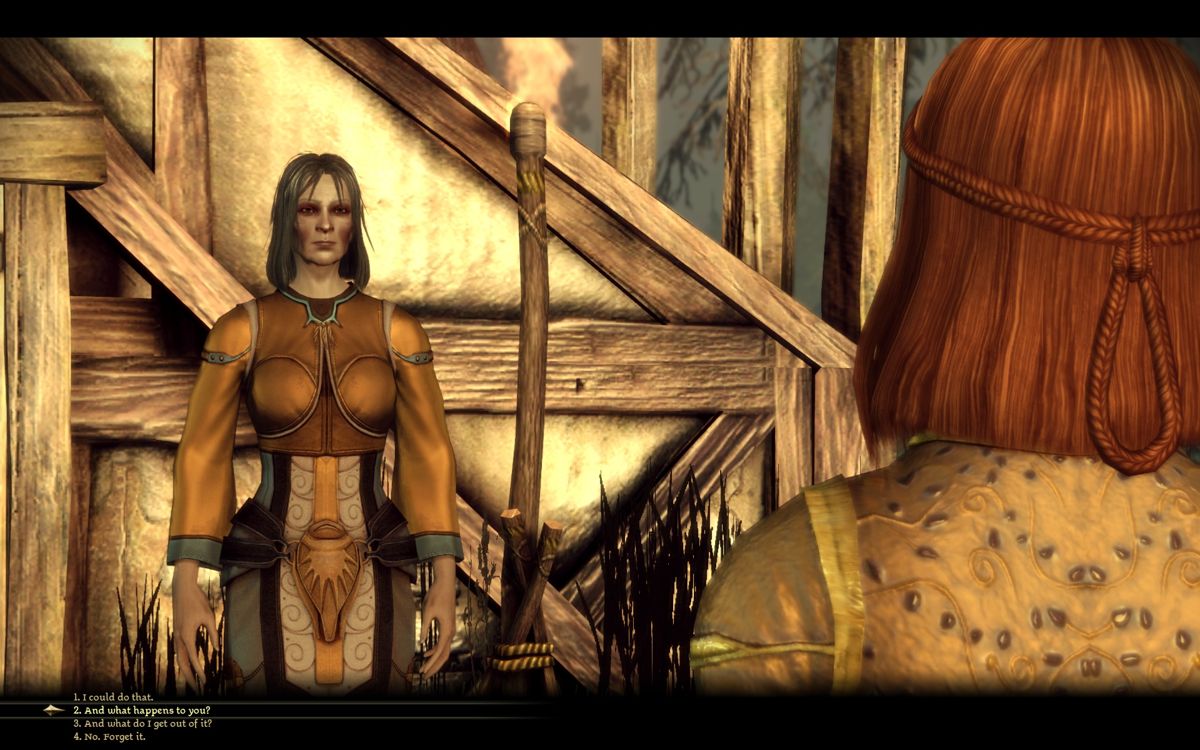 Screenshot of Dragon Age: Origins (Windows, 2009) - MobyGames