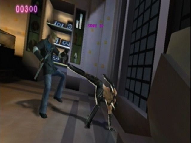 Catwoman (GameCube) screenshot: Round-kicking the burglar.