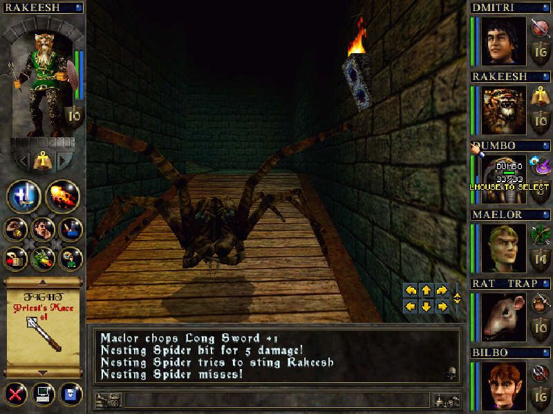 Wizards & Warriors (Windows) screenshot: Spider ... Why are there always spiders in such places?