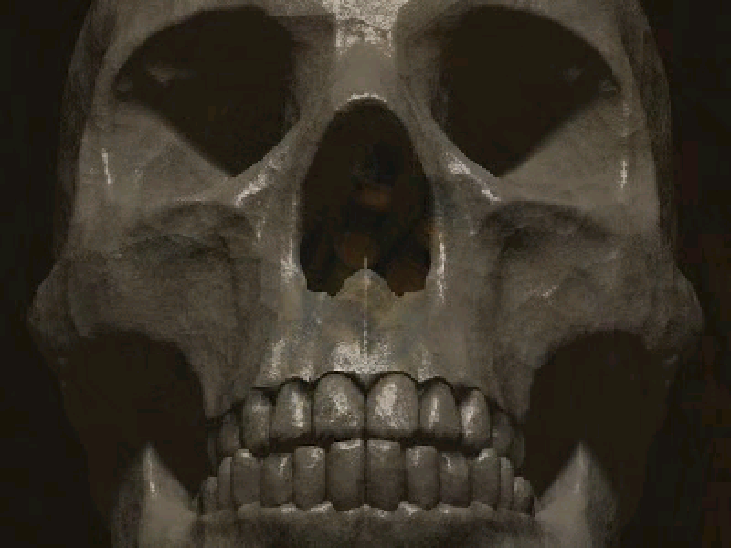 Jogos de Terror (Windows) screenshot: Phobia III - Video after death
