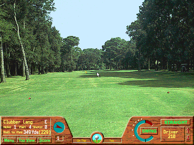Picture Perfect Golf (DOS) screenshot: Technically speaking that is a photo, but far from perfect