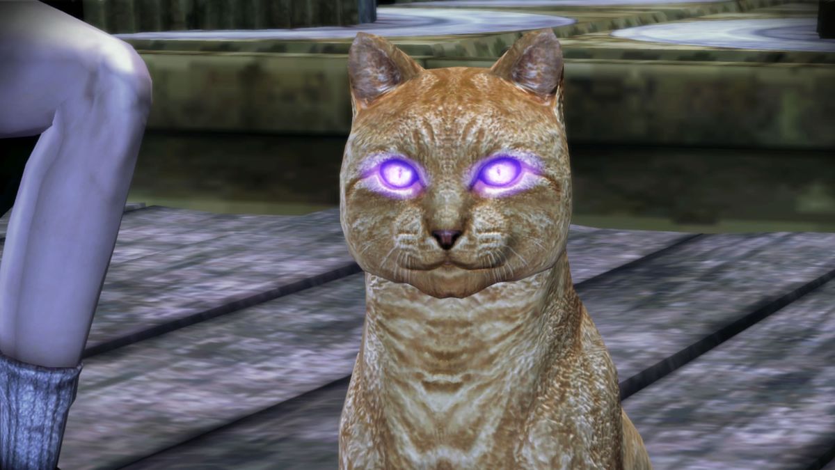 Dragon Age: Origins - The Stone Prisoner (Windows) screenshot: ...together with a nice kitty