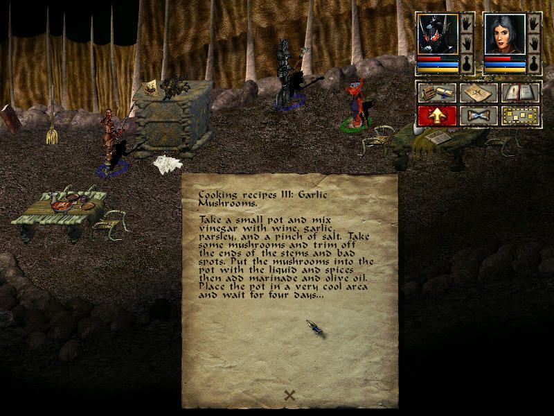 Beyond Divinity (Windows) screenshot: You can find all sorts of written materials around. This is a recipe the imp chieftain apparently values
