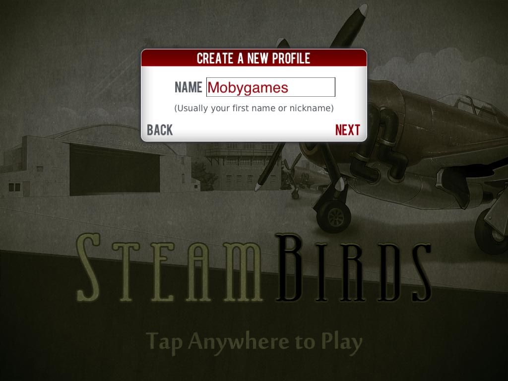 SteamBirds (iPad) screenshot: Player name
