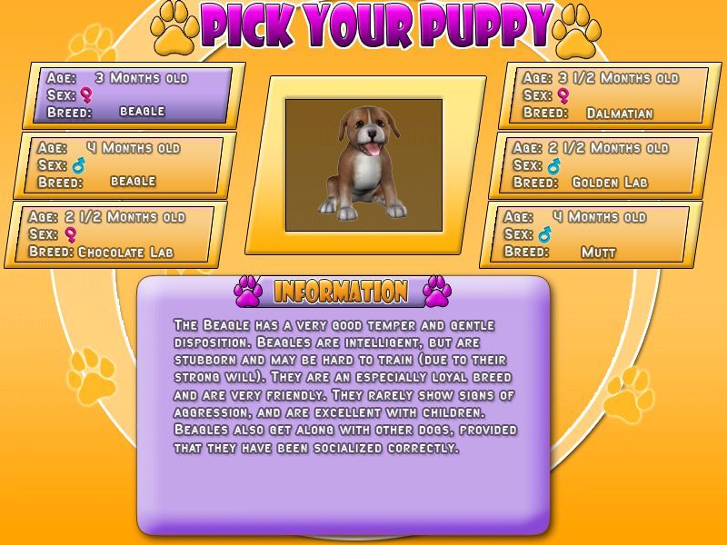 Puppy Luv: A New Breed (Windows) screenshot: These are the available dogs. Each has its own traits and characteristics