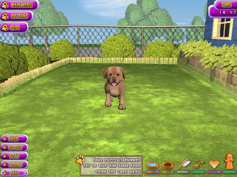 Puppy Luv: A New Breed (Windows) screenshot: The game is menu driven. Here it starts with a hungry puppy....