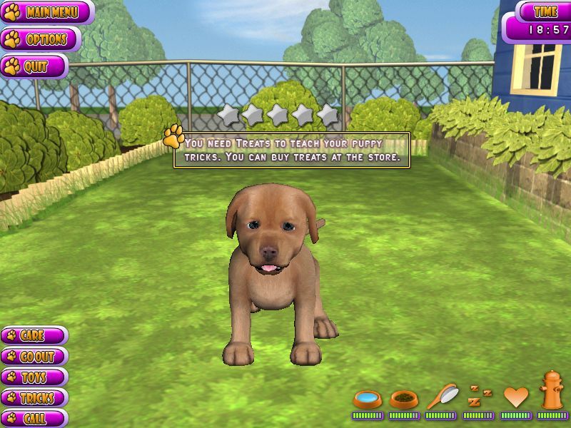 Puppy Luv: A New Breed (Windows) screenshot: To train a puppy the gamer must have an adequate supply of bribes / treats.