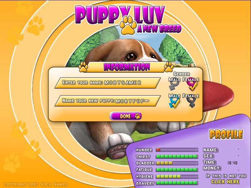 Puppy Luv: A New Breed (Windows) screenshot: The player must then enter their name and the name of their dog. There's an 8 character limit to both names