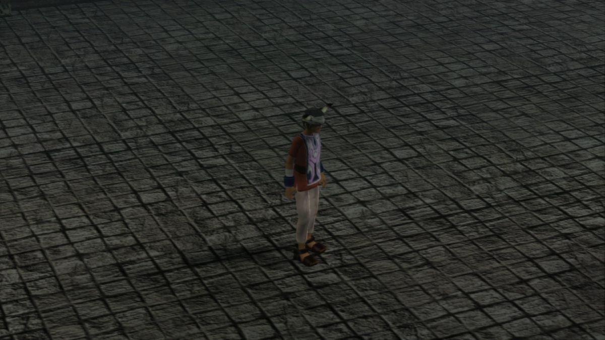 Ico (PlayStation 3) screenshot: You can hold a button to zoom in on the camera and play it that way whenever you feel too distant from your character.