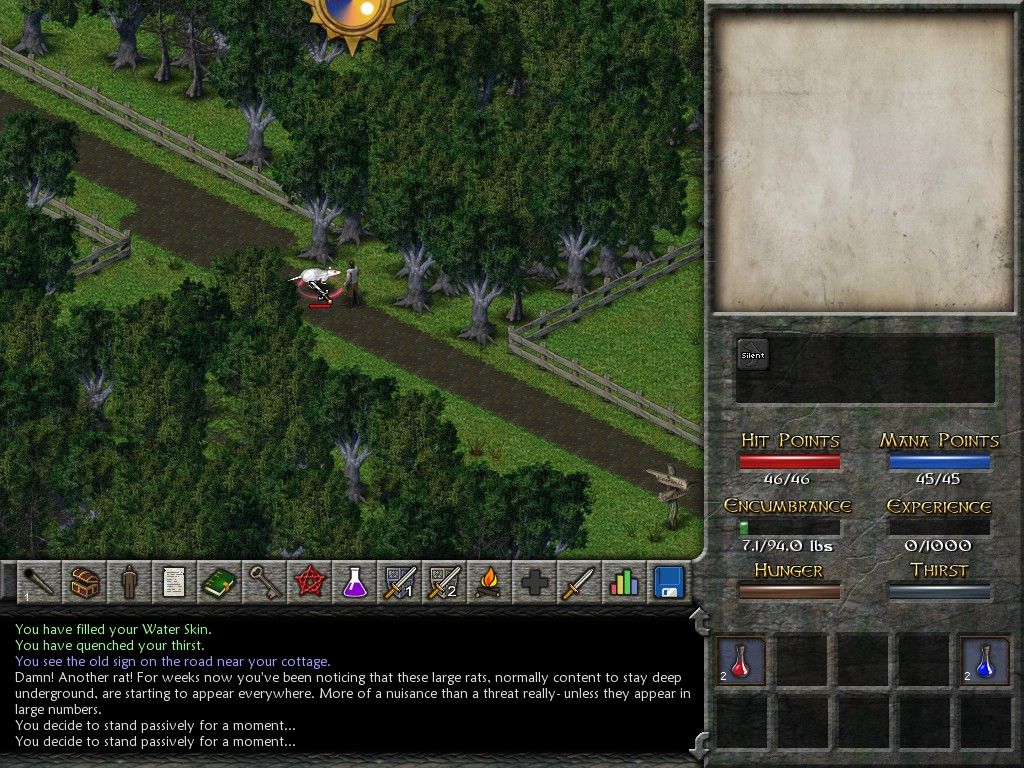 Eschalon: Book II (Windows) screenshot: Rat attack