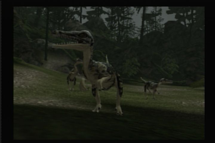 Jurassic: The Hunted (PlayStation 2) screenshot: These little fellas are here to give you a warm welcome.