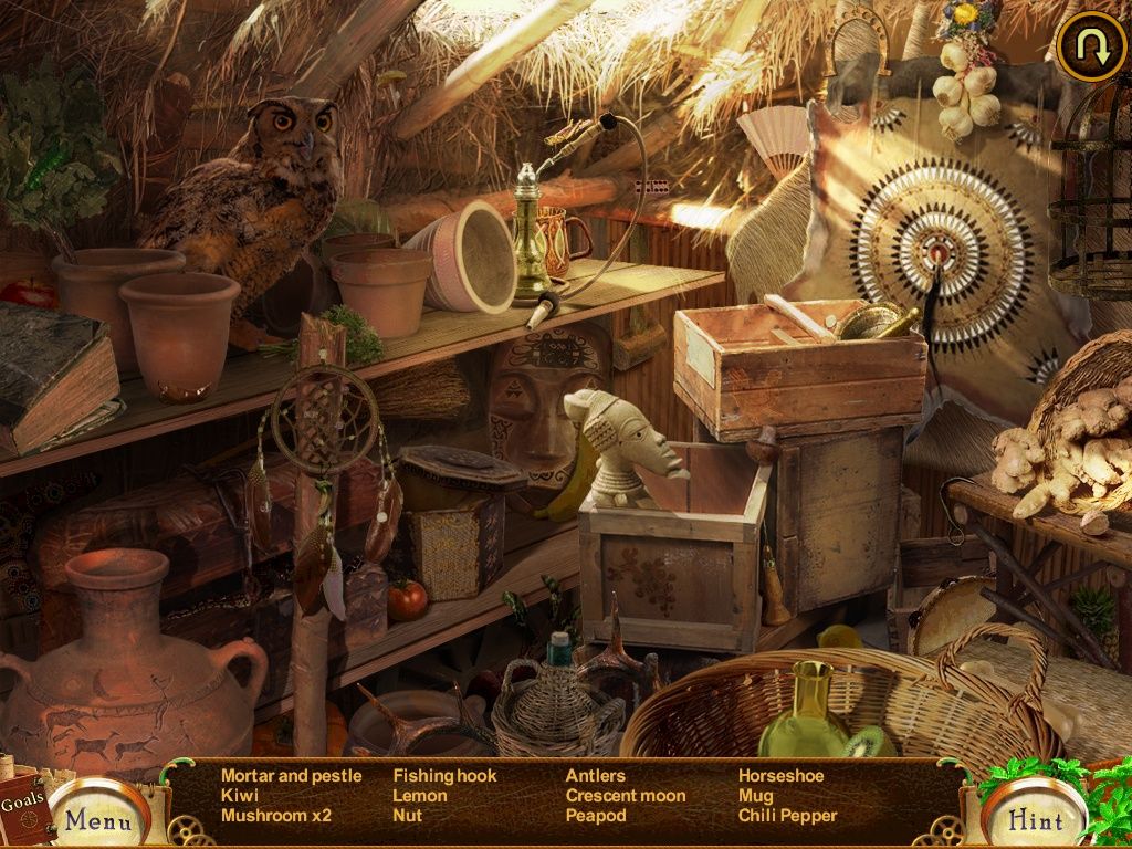 Kate Arrow: Deserted Wood (iPad) screenshot: Village hut - objects