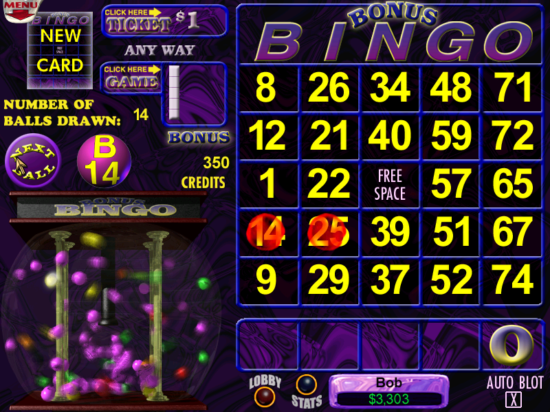 Reel Deal Slots 2nd Vol. (Windows) screenshot: Video bingo